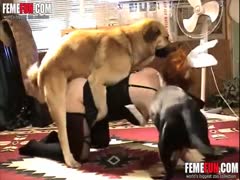 Xxx with animals The woman plays orgy with the dogs.